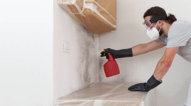 Professional Mold Testing technician working in Mattapan, MA