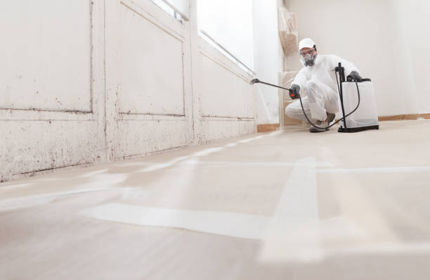 24/7 Emergency Mold Testing experts in Mattapan, MA